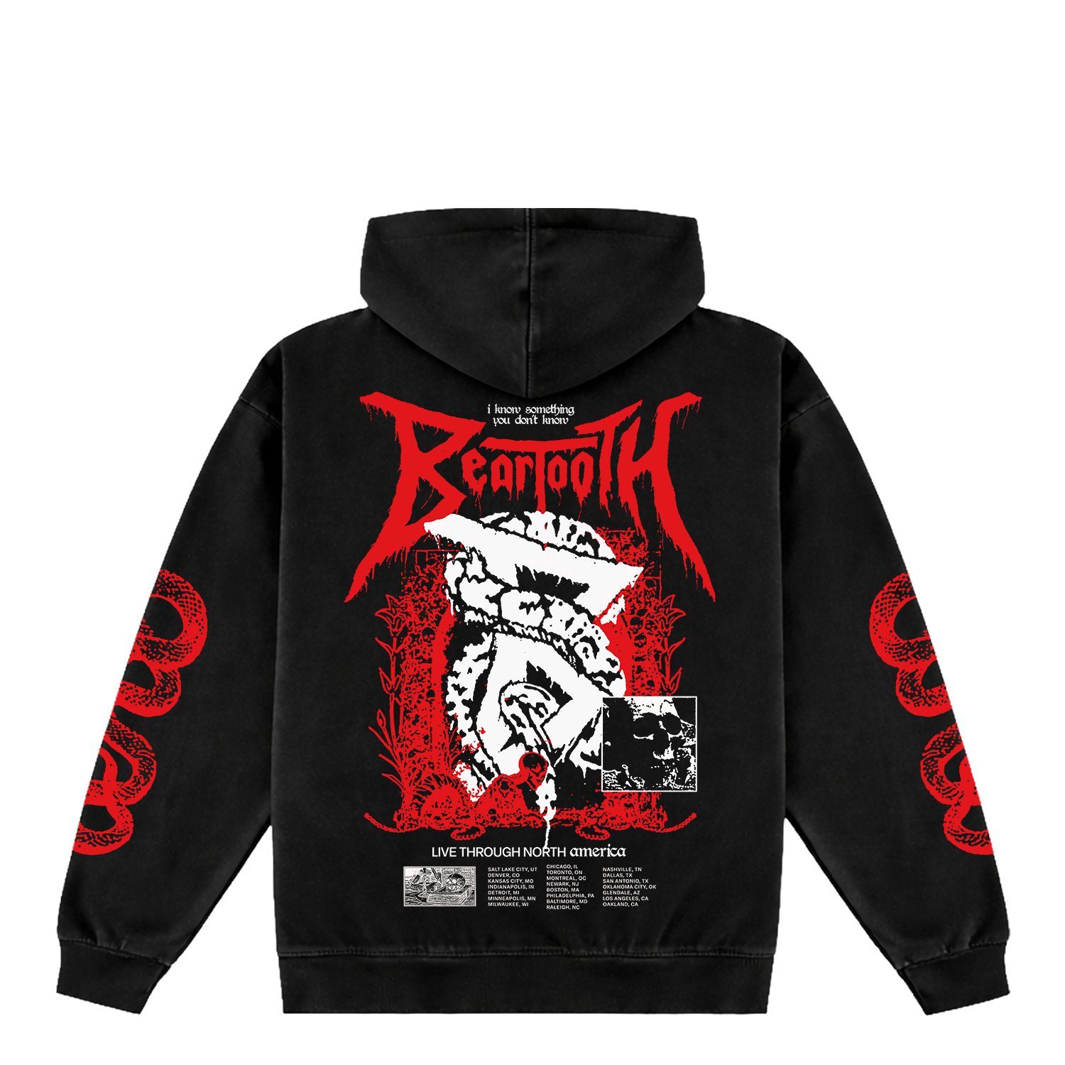 North American 2026 Tour Hoodie