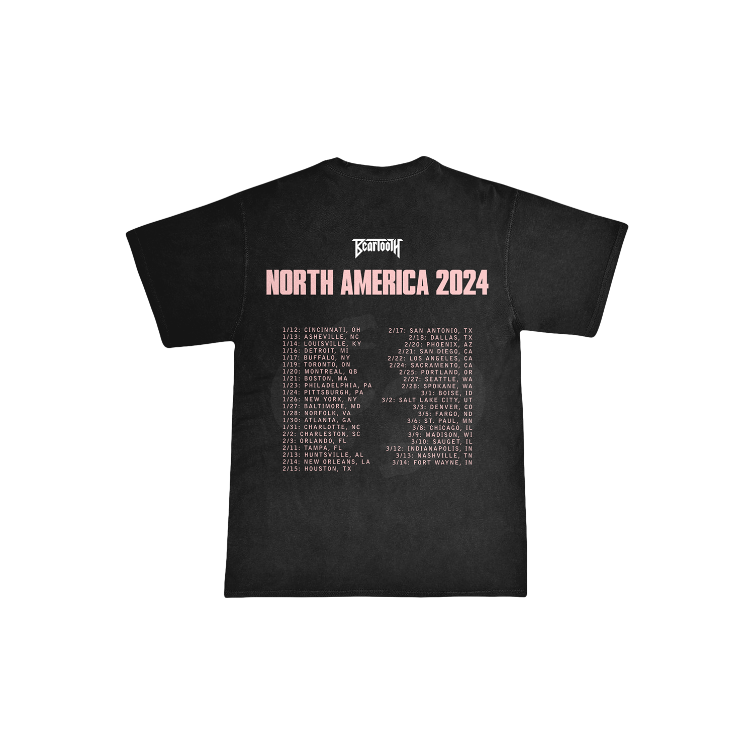 The Surface Tour T