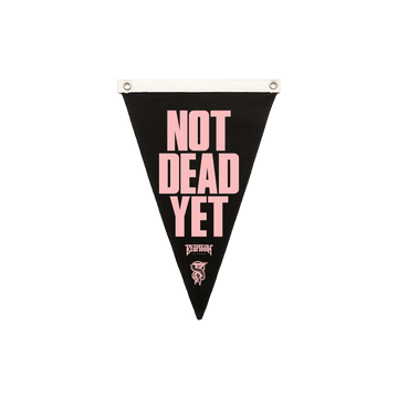 Not Dead Yet Canvas Pennant