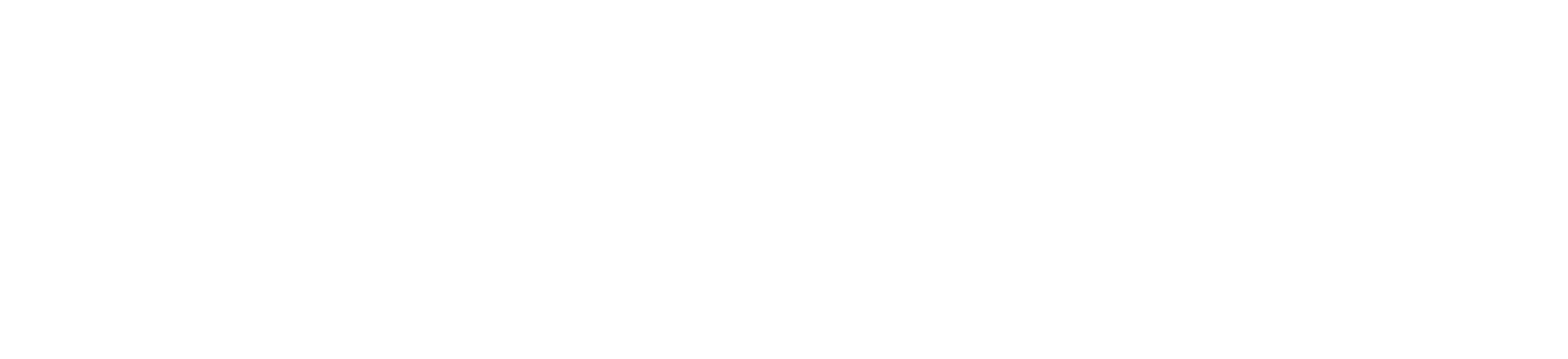 BeartoothPE-Logo-MAIN-White.png
